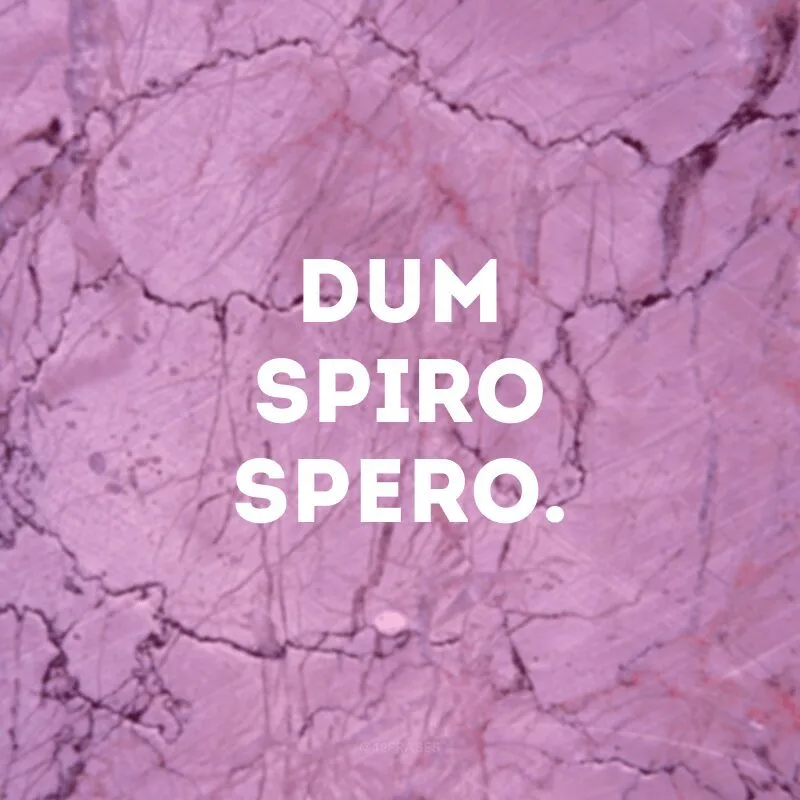 Dum spiro spero.
(Enquanto eu respiro há esperança.)  