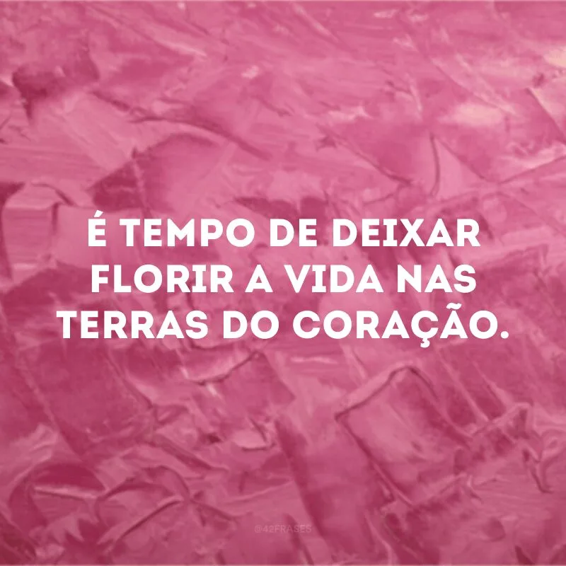 É tempo de deixar florir a vida nas terras do coração. 