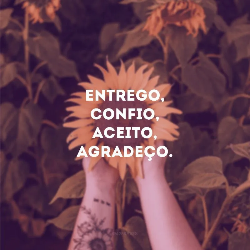 Entrego, confio, aceito, agradeço. 
