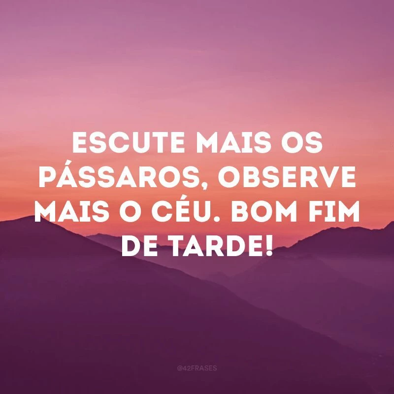 Escute mais os pássaros, observe mais o céu. Bom fim de tarde! 