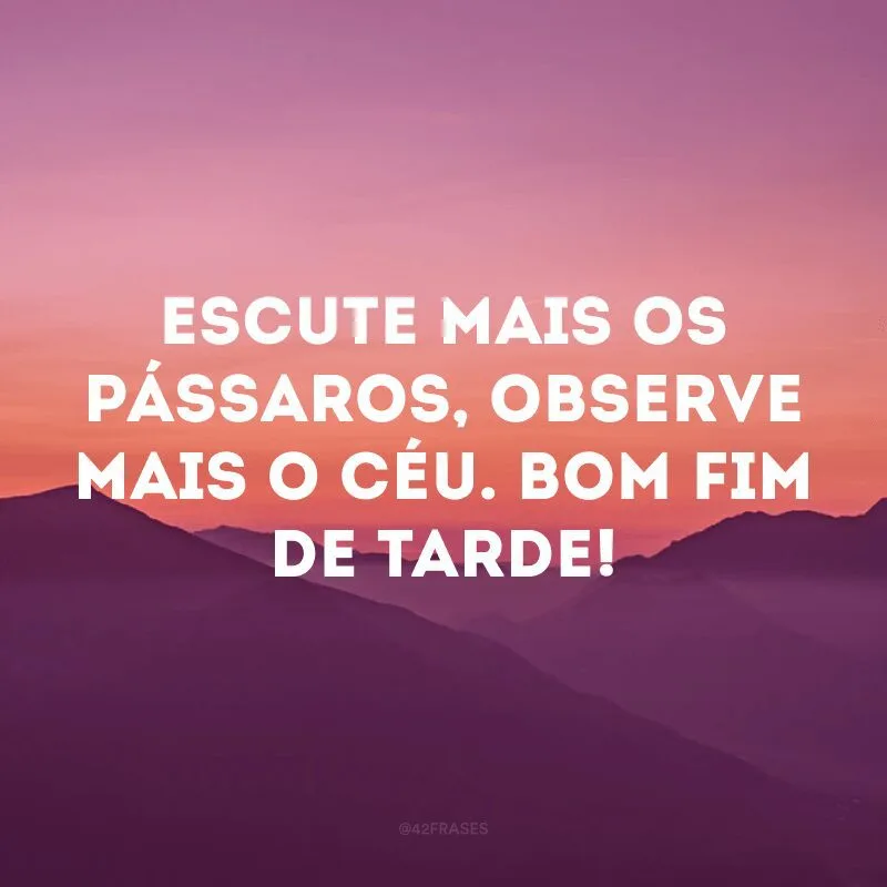 Escute mais os pássaros, observe mais o céu. Bom fim de tarde! 