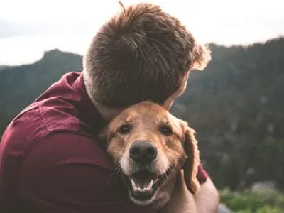40 frases de lealdade para quem valoriza essa qualidade