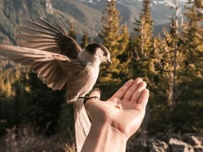 40 frases de paz na alma para viver com mais leveza