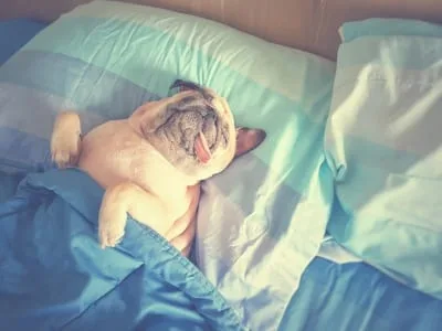 40 frases de quinta-feira para dar um gostinho do fim de semana
