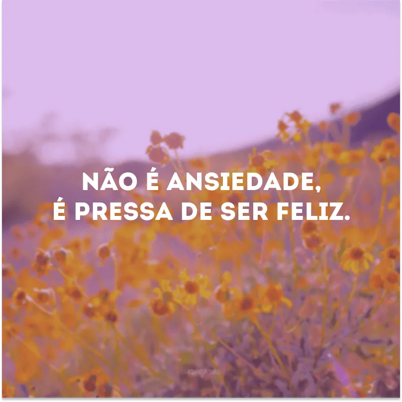 Não é ansiedade, é pressa de ser feliz. 