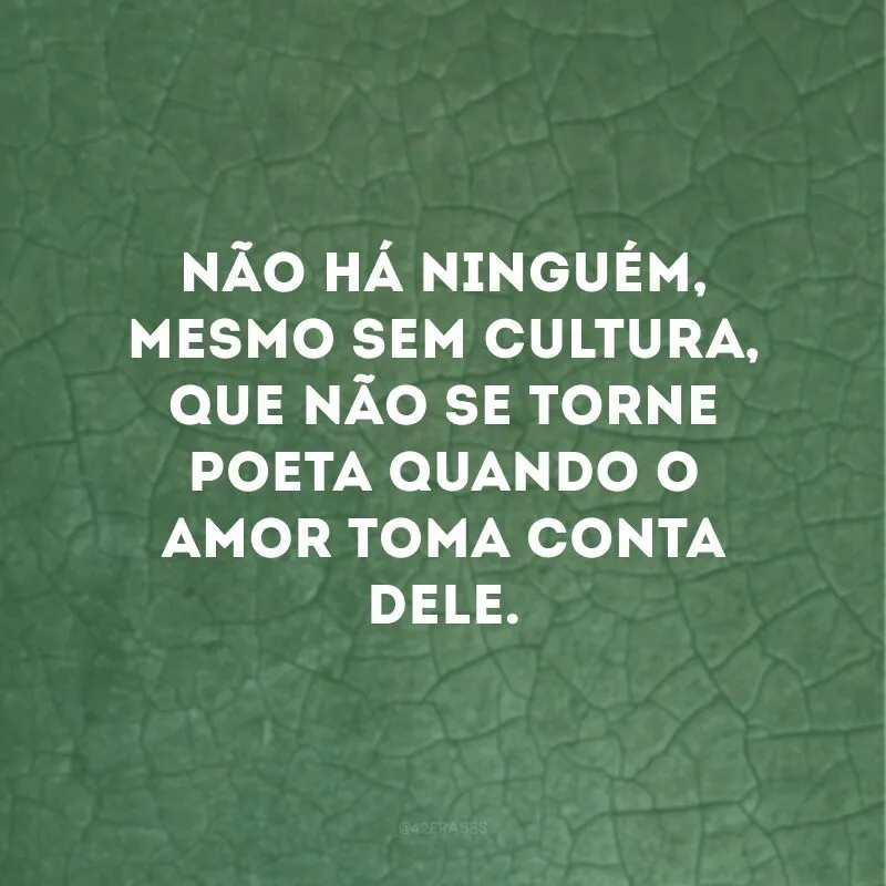 Não há ninguém, mesmo sem cultura, que não se torne poeta quando o amor toma conta dele.