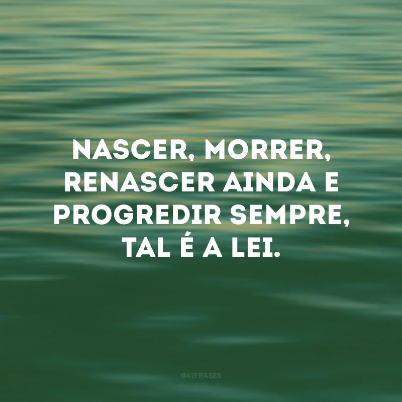 Nascer, morrer, renascer ainda e progredir sempre, tal é a lei.