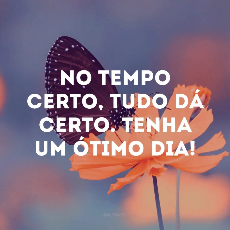 No tempo certo, tudo dá certo. Tenha um ótimo dia! 