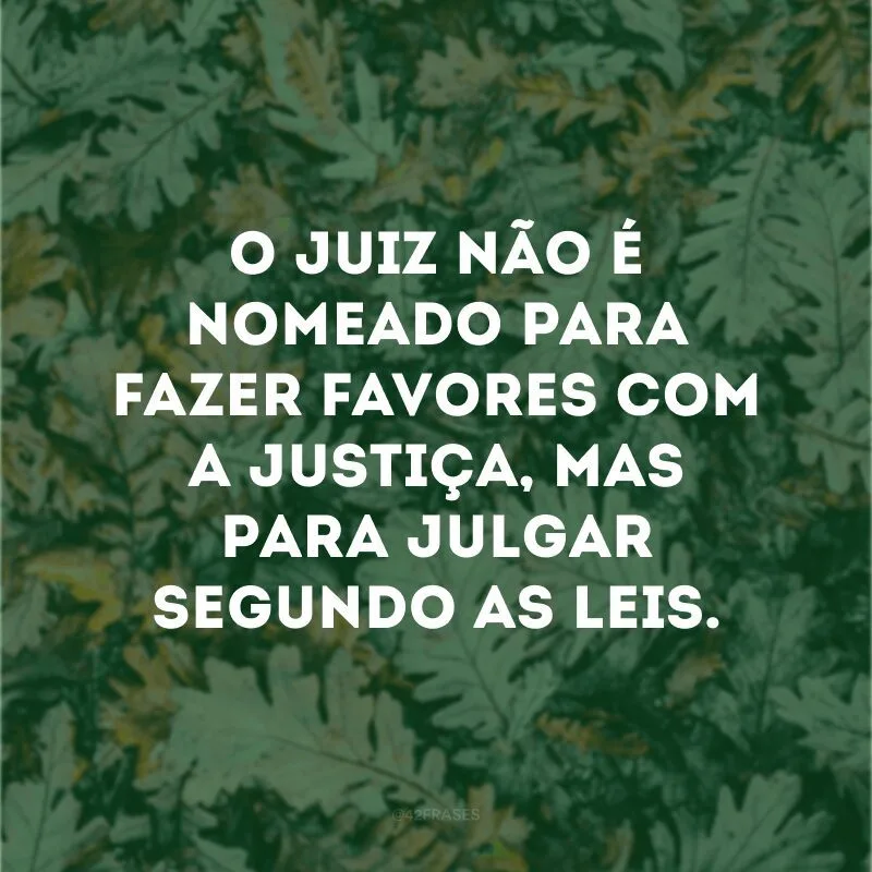 O juiz não é nomeado para fazer favores com a justiça, mas para julgar segundo as leis.