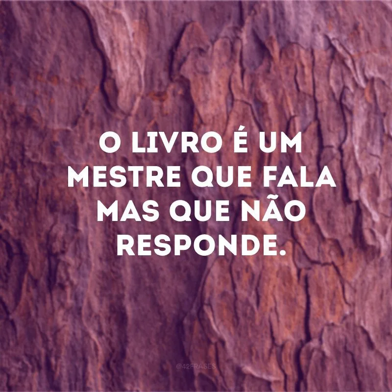 O livro é um mestre que fala mas que não responde.