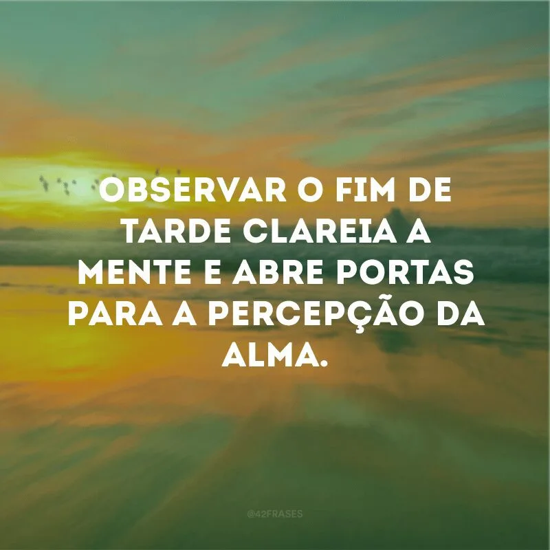 Observar o fim de tarde clareia a mente e abre portas para a percepção da alma.

