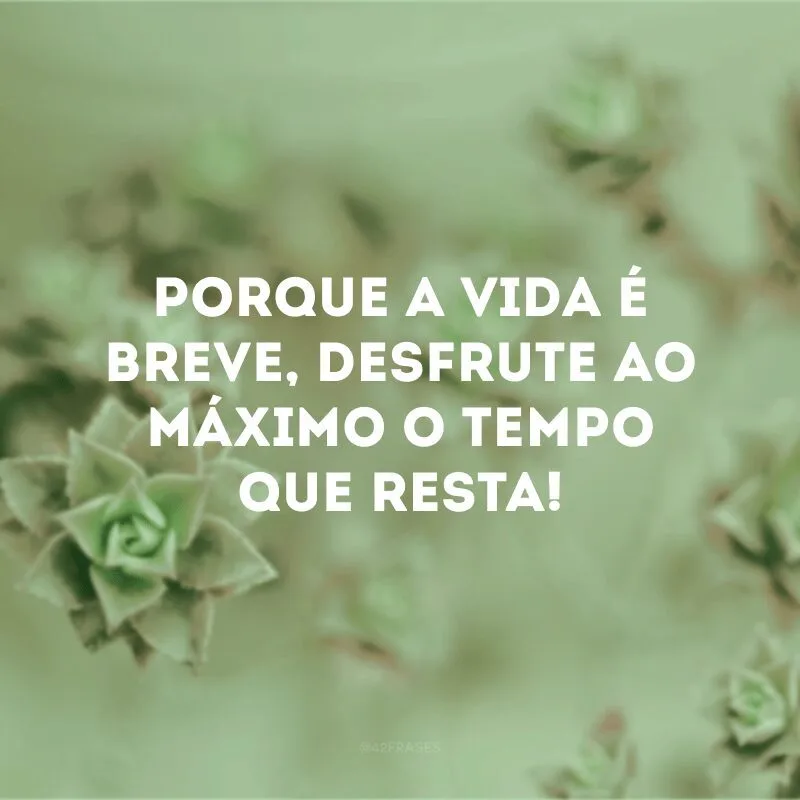 Porque a vida é breve, desfrute ao máximo o tempo que resta!