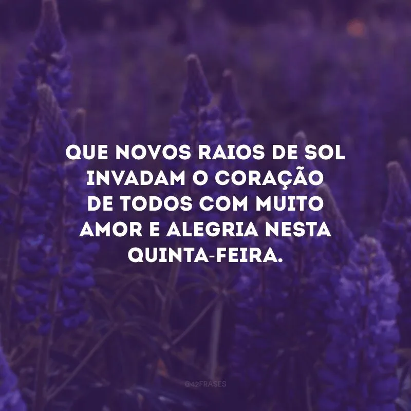 Que novos raios de sol invadam o coração de todos com muito amor e alegria nesta quinta-feira.
