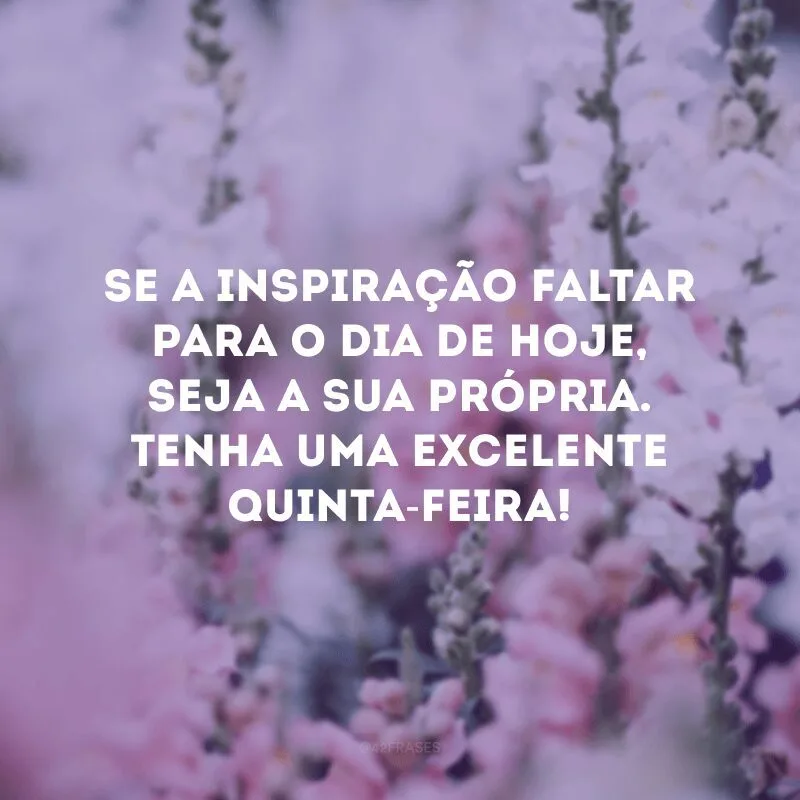 Se a inspiração faltar para o dia de hoje, seja a sua própria. Tenha uma excelente quinta-feira!