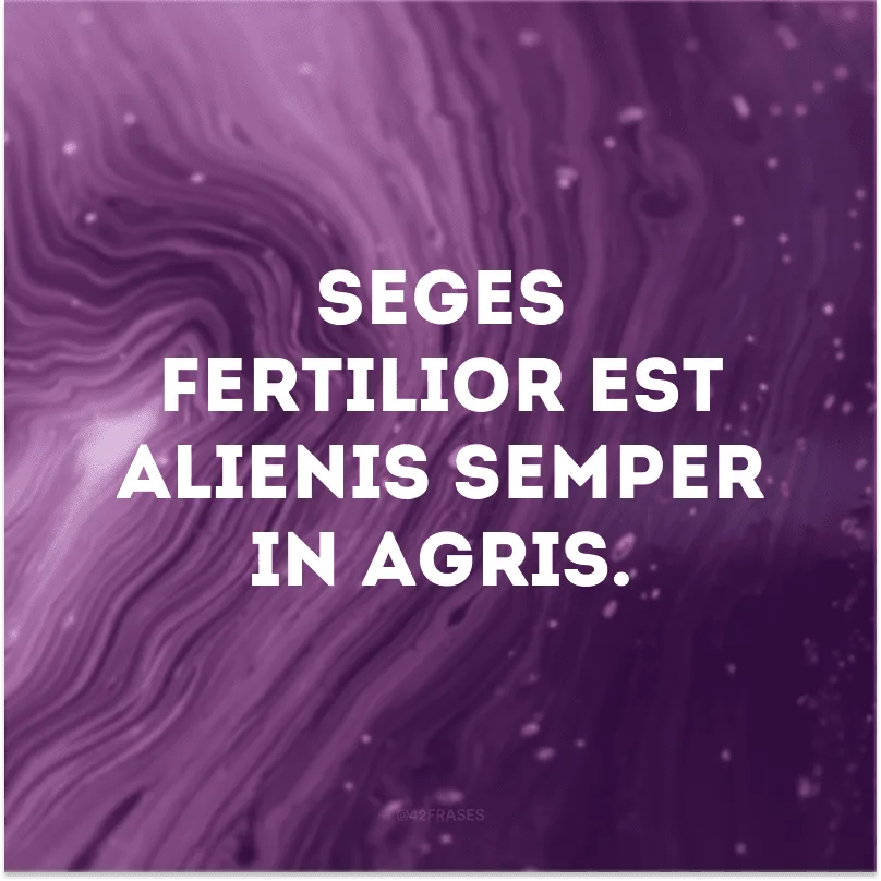 Seges fertilior est alienis semper in agris.
(A grama do vizinho é sempre mais verde.)