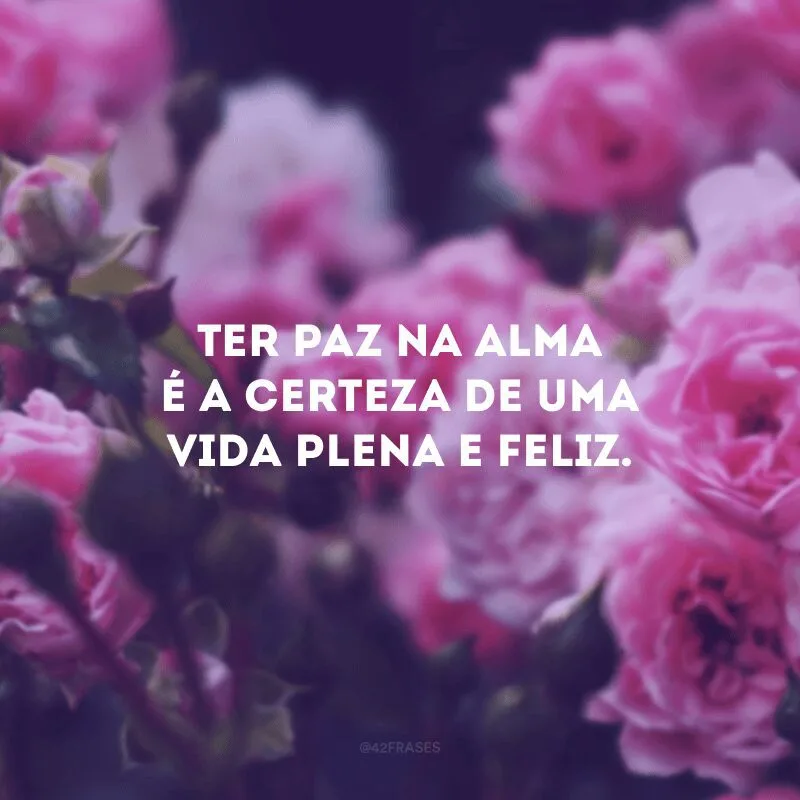 Ter paz na alma é a certeza de uma vida plena e feliz. 