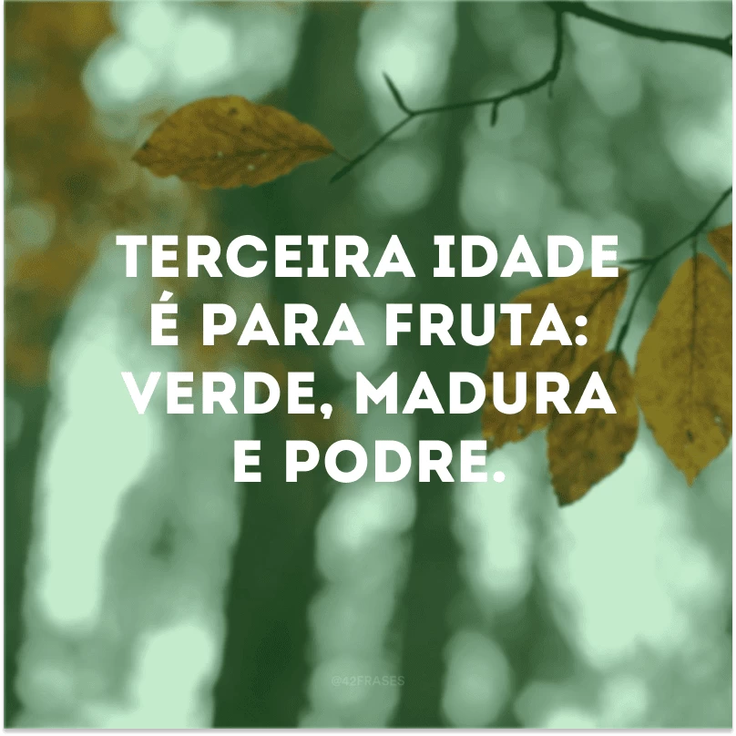Terceira idade é para fruta: verde, madura e podre.
