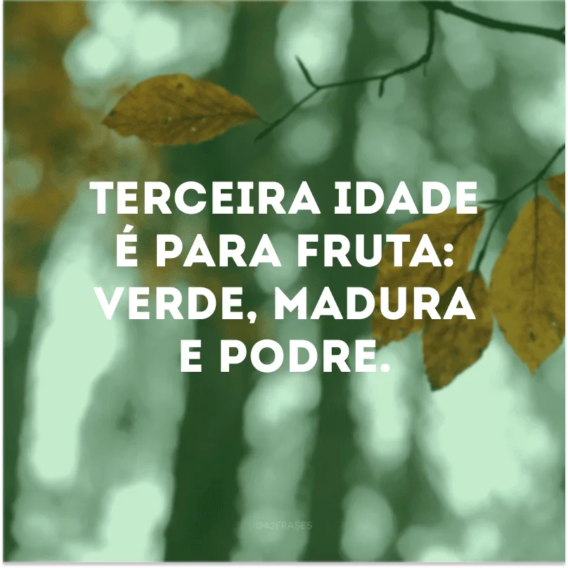 Terceira idade é para fruta: verde, madura e podre.
