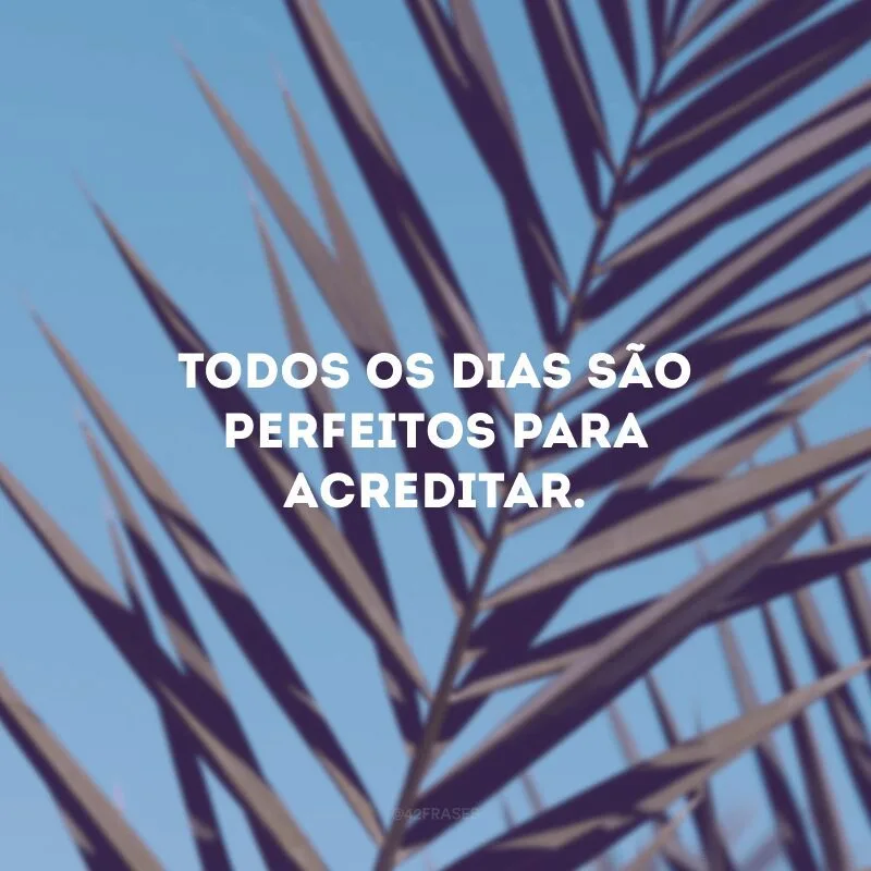 Todos os dias são perfeitos para acreditar. 
