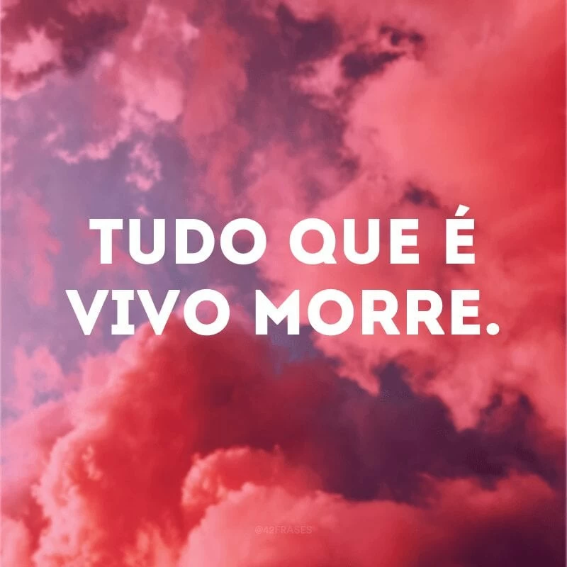 Tudo que é vivo morre.

