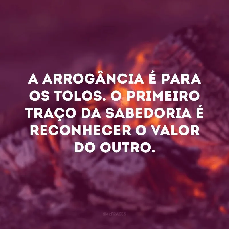 A arrogância é para os tolos. O primeiro traço da sabedoria é reconhecer o valor do outro. 