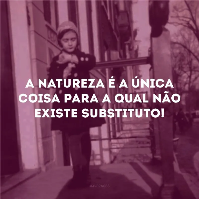 A natureza é a única coisa para a qual não existe substituto!