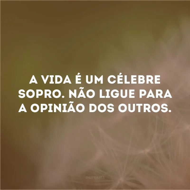 A vida é um célebre sopro. Não ligue para a opinião dos outros. 