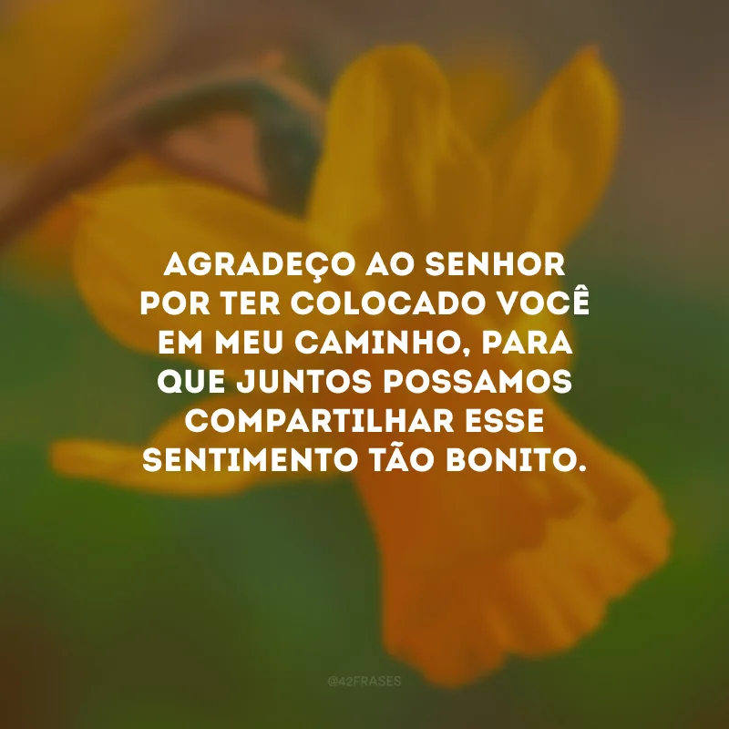 Agradeço ao Senhor por ter colocado você em meu caminho, para que juntos possamos compartilhar esse sentimento tão bonito.