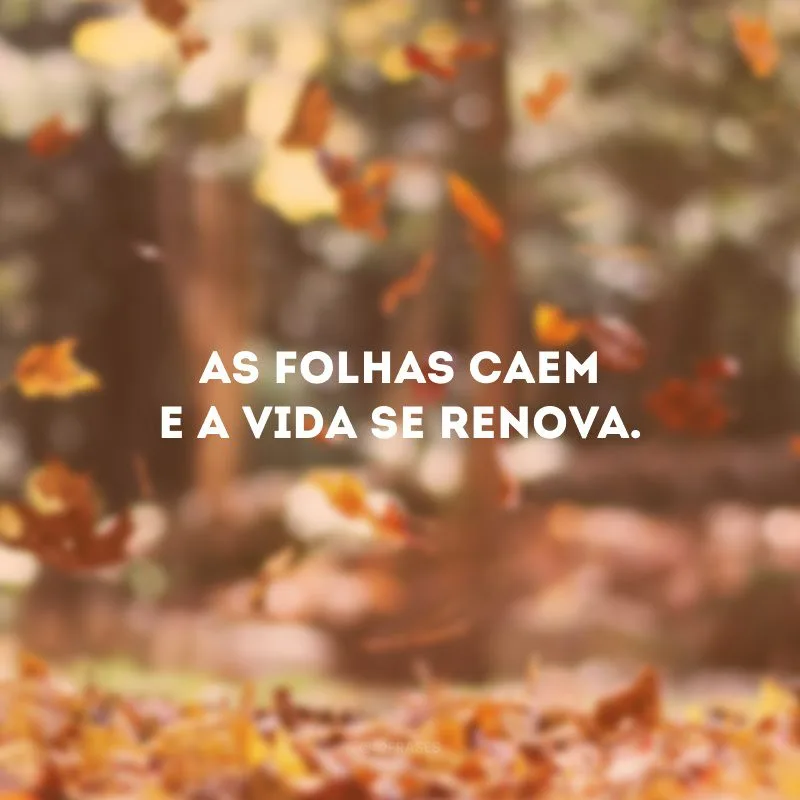 As folhas caem e a vida se renova. 