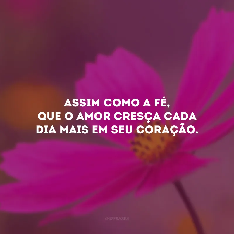 Assim como a fé, que o amor cresça cada dia mais em seu coração.