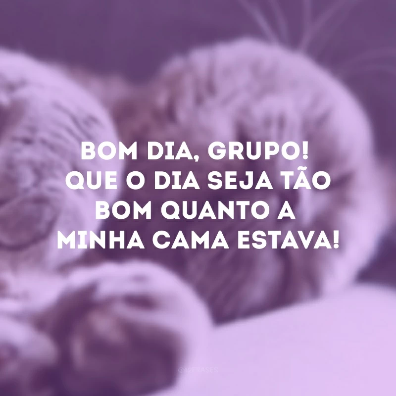 Bom dia, grupo! Que o dia seja tão bom quanto a minha cama estava!