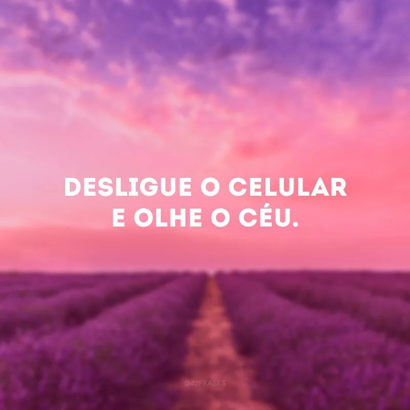 Desligue o celular e olhe o céu. 