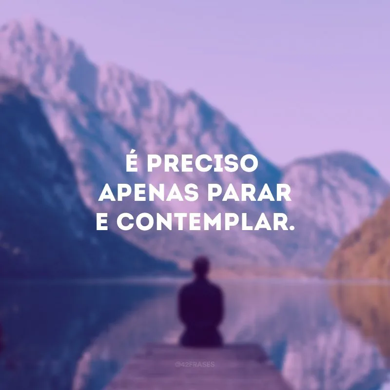 É preciso apenas parar e contemplar. 