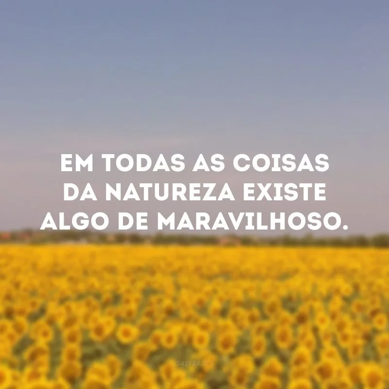 Em todas as coisas da natureza existe algo de maravilhoso.