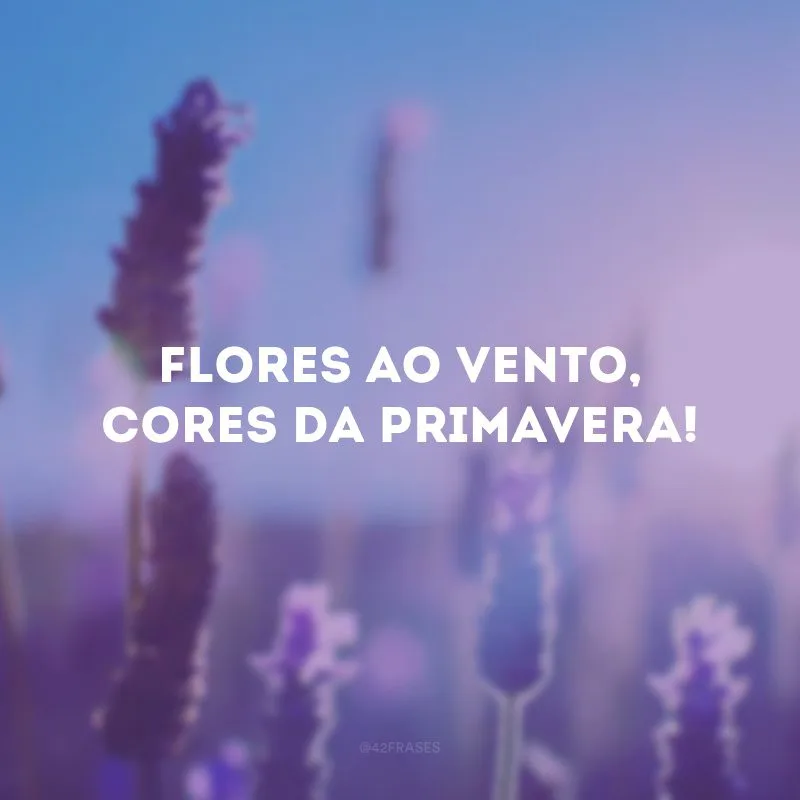 Flores ao vento, cores da primavera!