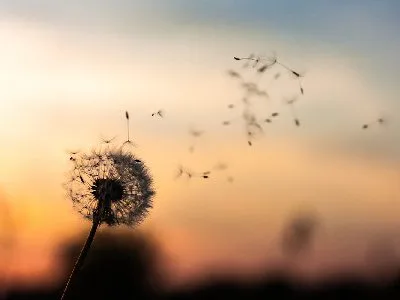 40 frases a vida é um sopro para aproveitar a totalidade de cada momento