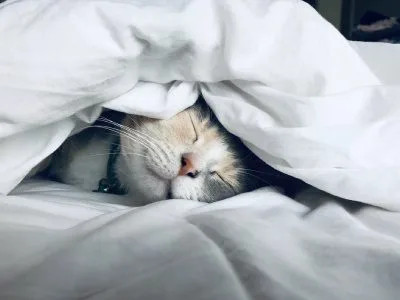 40 frases de consciência limpa para quem valoriza essa paz interior