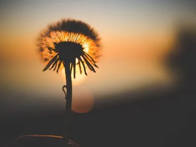 42 frases de leveza para aproveitar o melhor da vida
