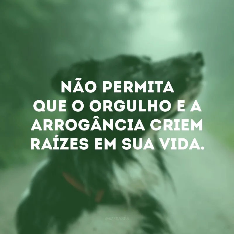 Não permita que o orgulho e a arrogância criem raízes em sua vida. 