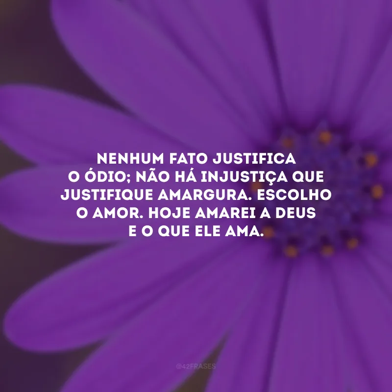 Nenhum fato justifica o ódio; não há injustiça que justifique amargura. Escolho o amor. Hoje amarei a Deus e o que Ele ama.