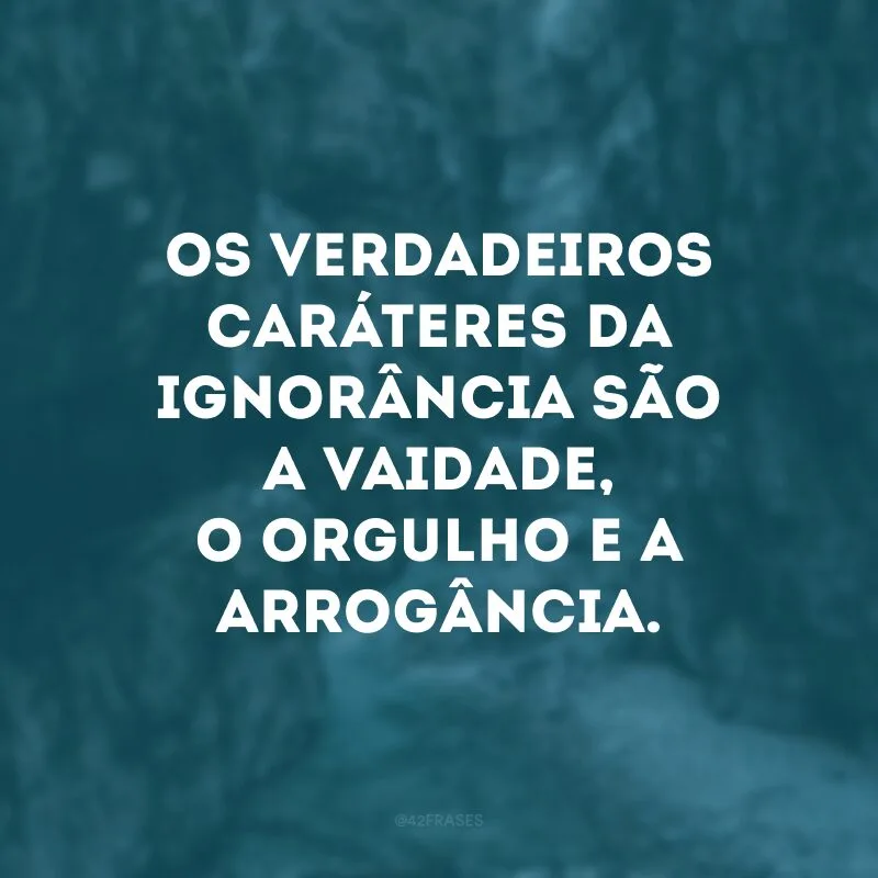Os verdadeiros caráteres da ignorância são a vaidade, o orgulho e a arrogância.