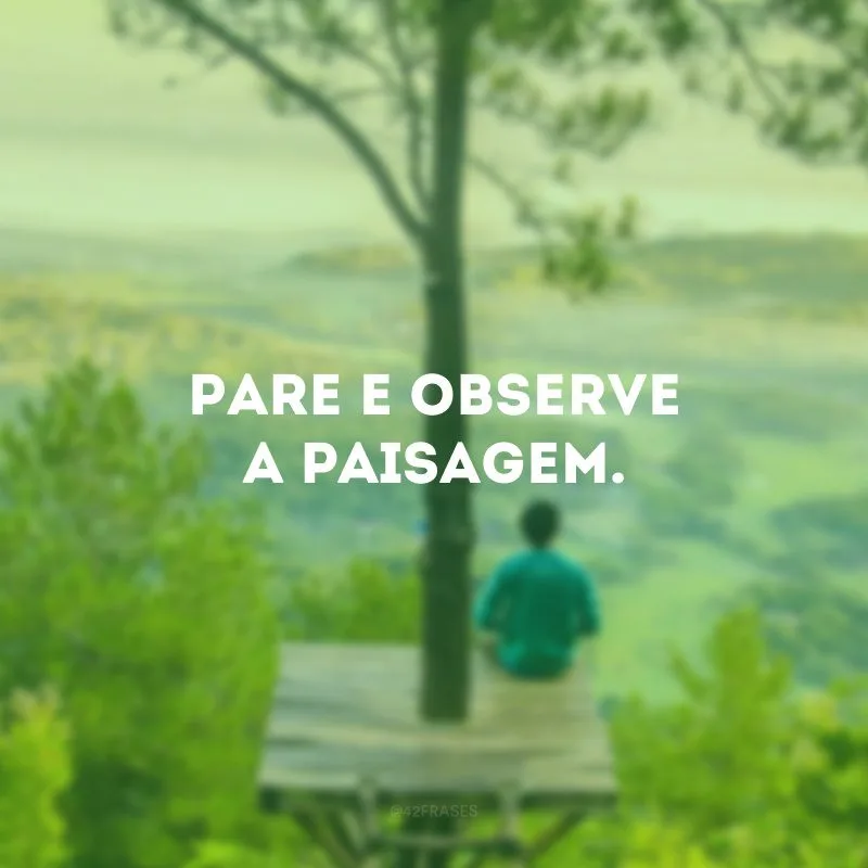 Pare e observe a paisagem. 