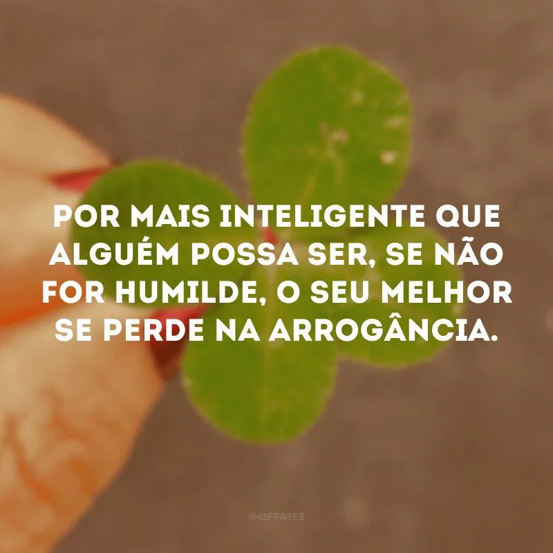 Por mais inteligente que alguém possa ser, se não for humilde, o seu melhor se perde na arrogância.