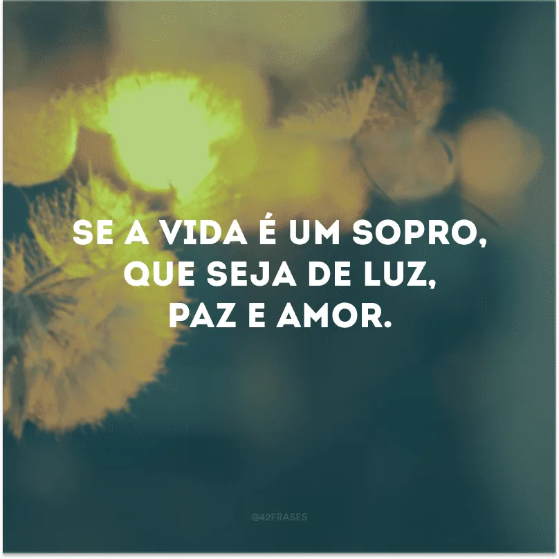 Se a vida é um sopro, que seja de luz, paz e amor. 