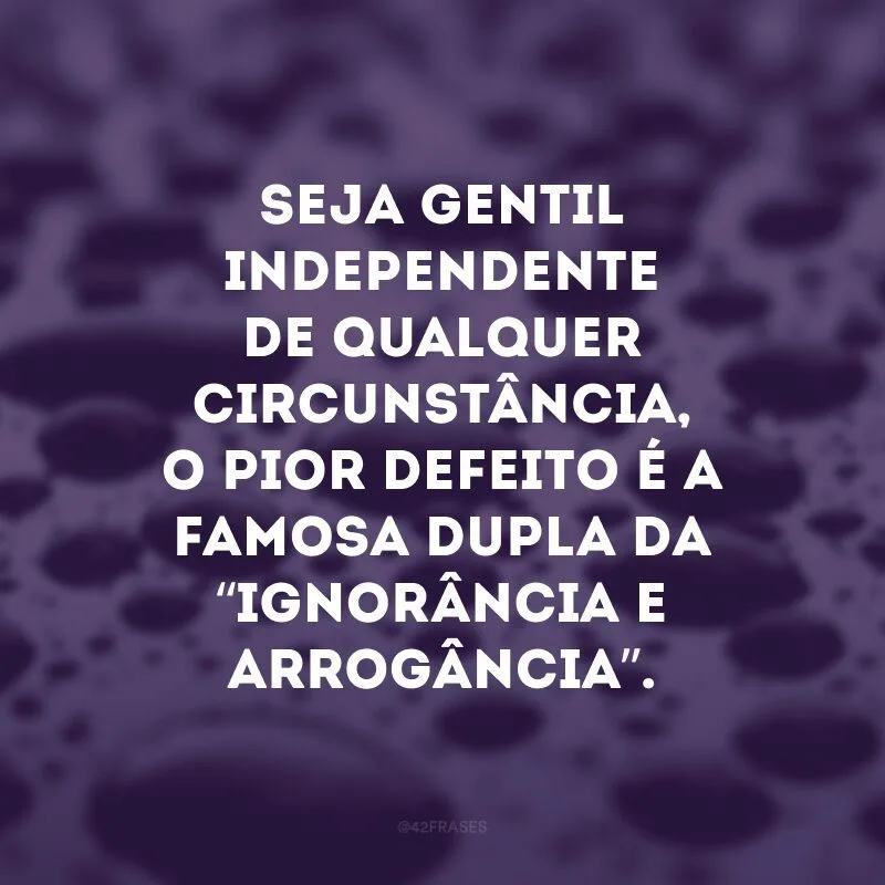 Seja gentil independente de qualquer circunstância, o pior defeito é a famosa dupla da “ignorância e arrogância”.