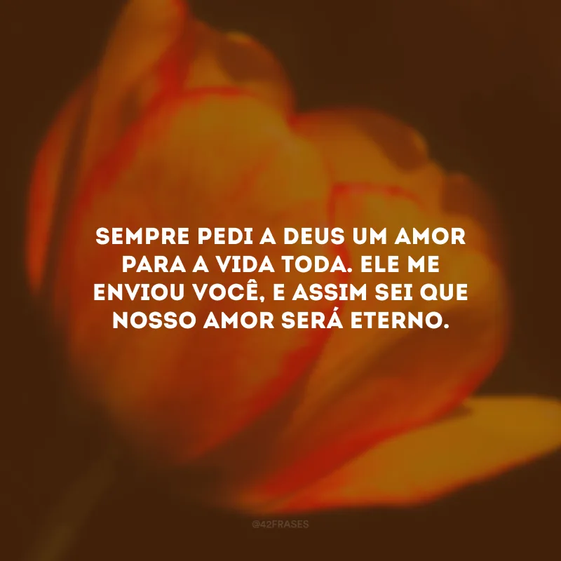 Sempre pedi a Deus um amor para a vida toda. Ele me enviou você, e assim sei que nosso amor será eterno. 
