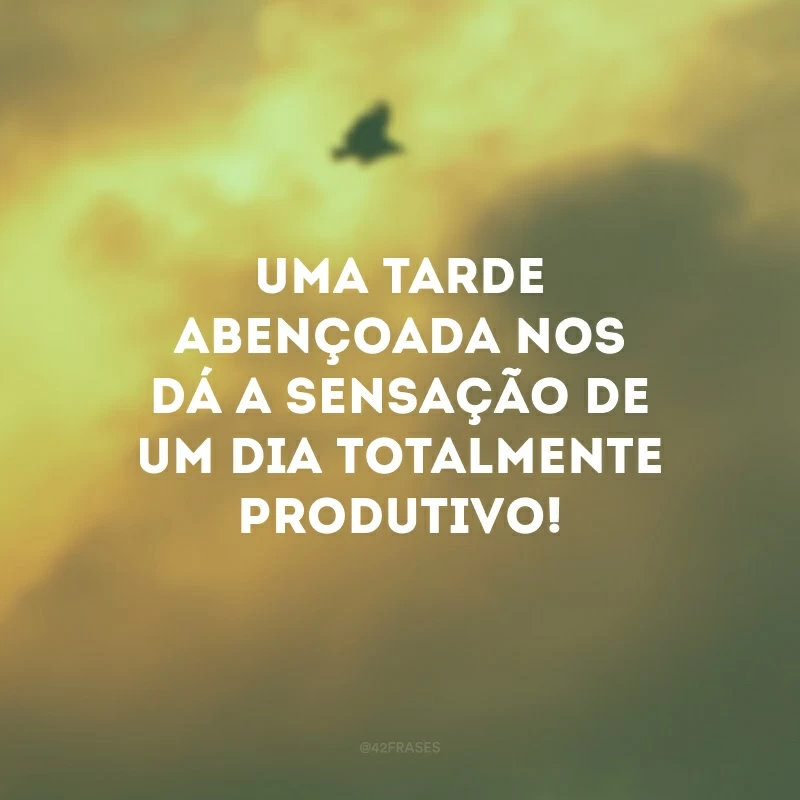 Uma tarde abençoada nos dá a sensação de um dia totalmente produtivo! 