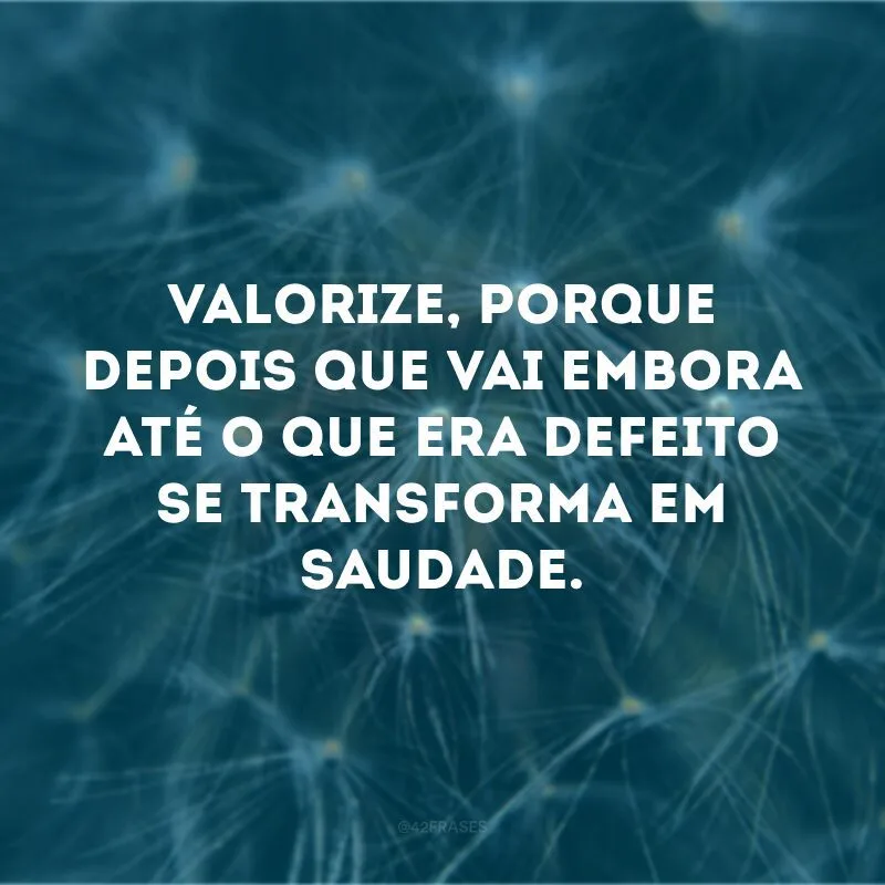 Valorize, porque depois que vai embora até o que era defeito se transforma em saudade. 