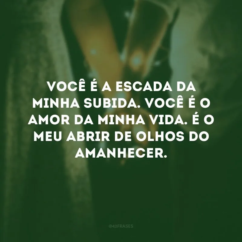 Você é a escada da minha subida. Você é o amor da minha vida. É o meu abrir de olhos do amanhecer. 