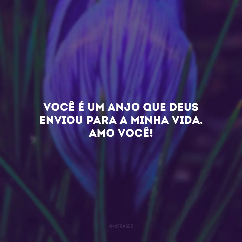Você é um anjo que Deus enviou para a minha vida. Amo você!